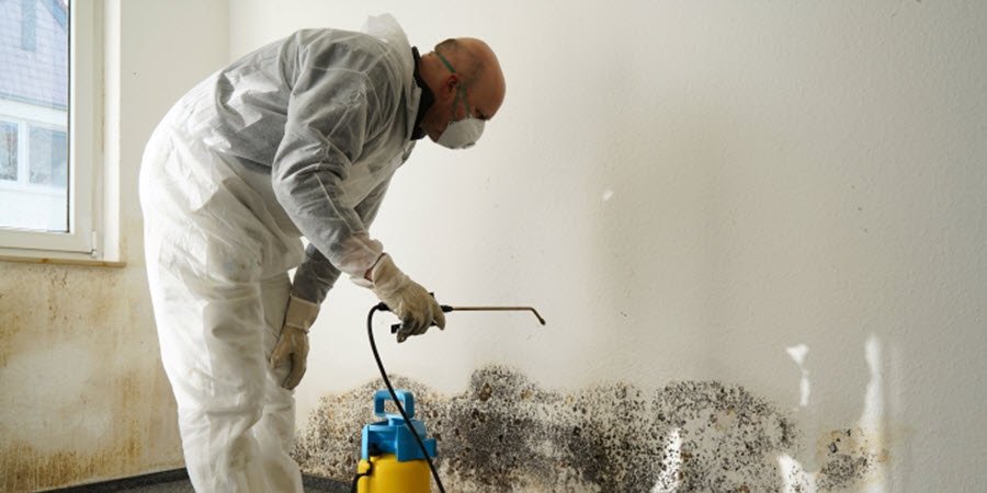 mold remediation Los Angeles technician
