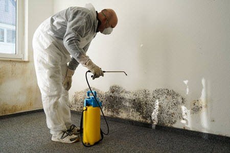 technician performing mold remediation